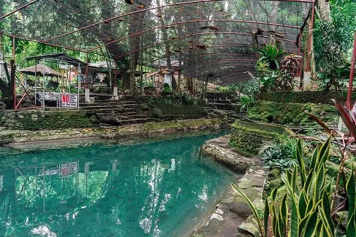 Ardent Hot Spring with greenish water surrounded by plants and trees