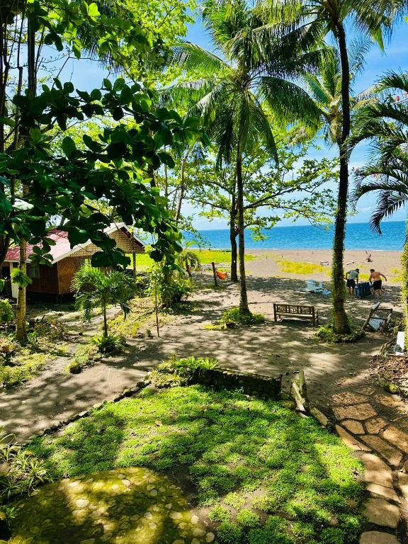 Budget double room outside view with plants and trees along with an ocean view