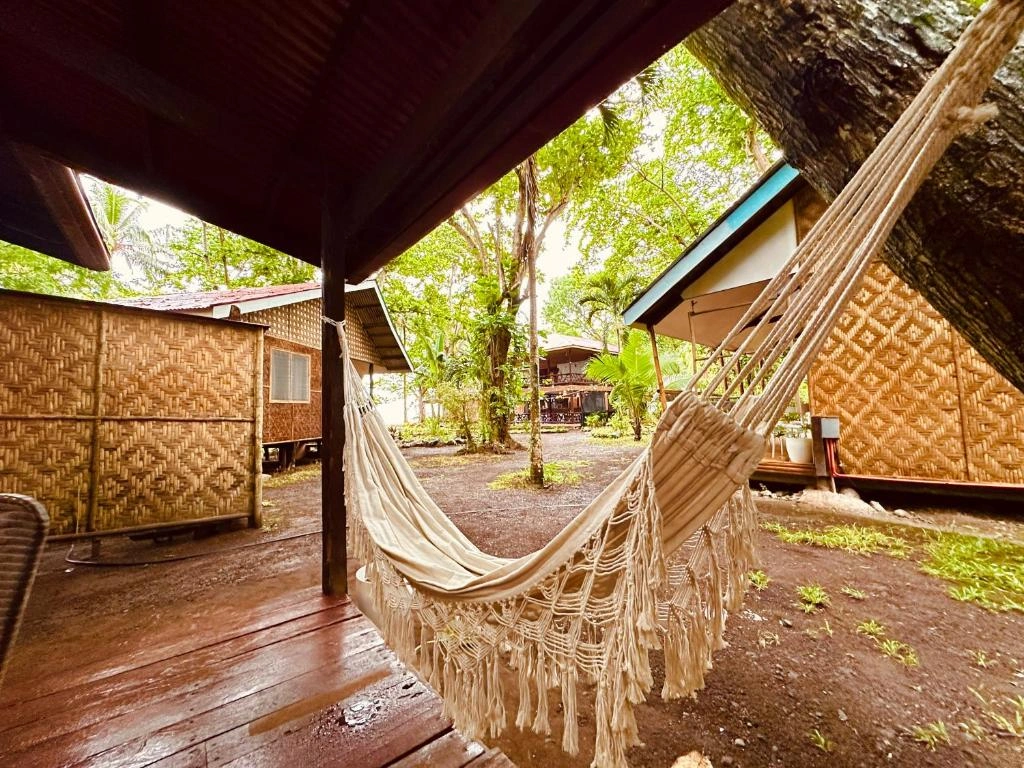 Hammock surrounded by a jungle and relaxing trees around